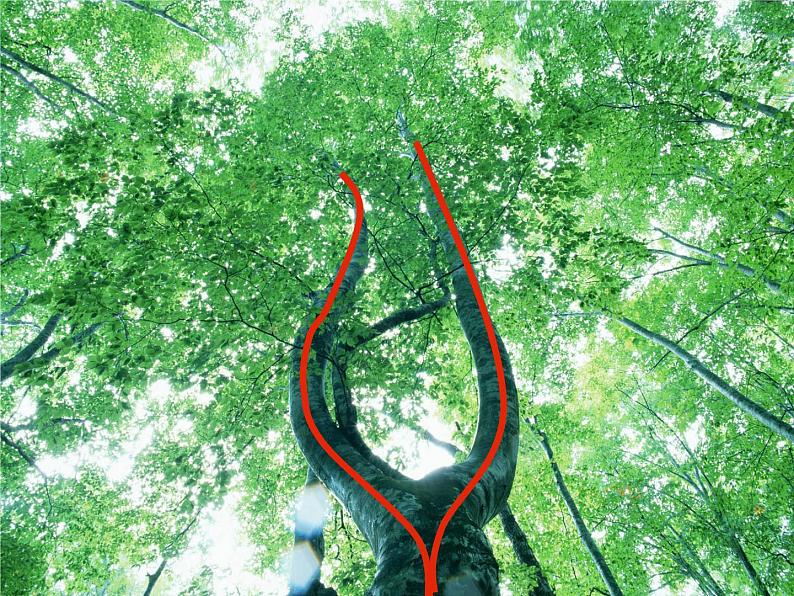 2022年小学生美术5.绘画作品中的线冀美版(16张)ppt课件第2页