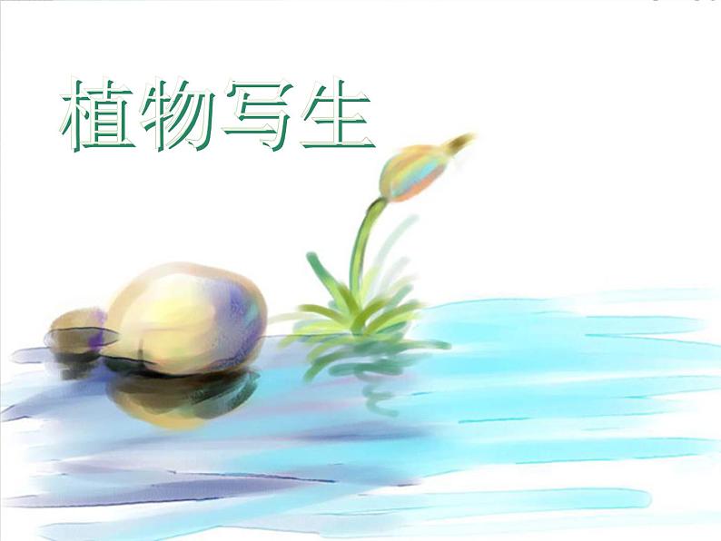 2022年小学 美术 冀美版 三年级下册 6. 植物写生(12张)ppt课件(1)第1页