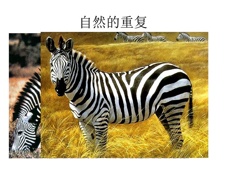 2022年小学 美术 冀美版 六年级下册 9. 重复与渐变(12张)ppt课件第2页