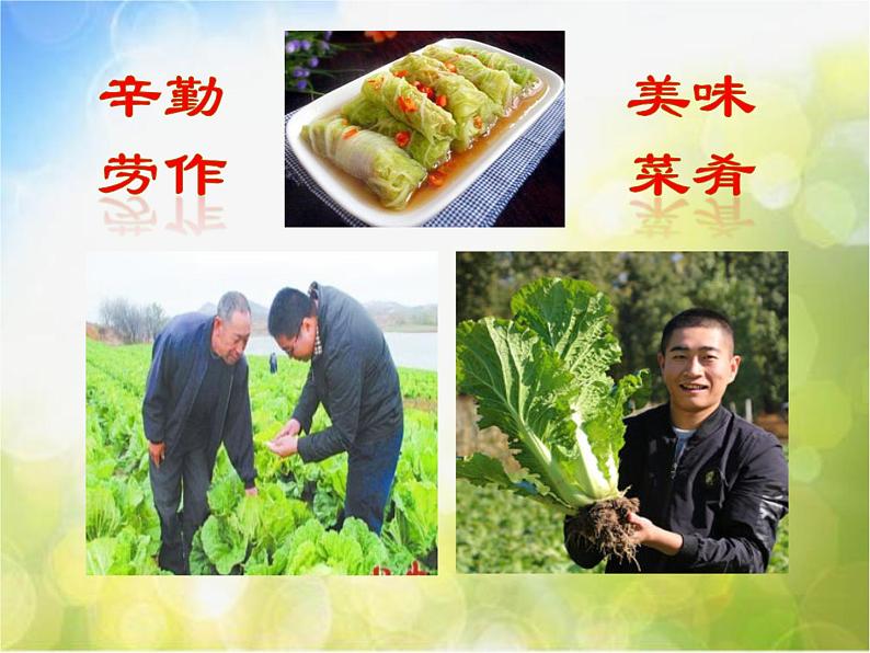 2022年小学 美术 冀美版 五年级上册 11. 学画疏果(39张)ppt课件第3页