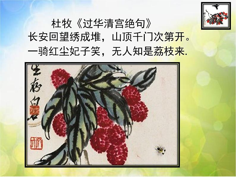 2022年小学 美术 冀美版 五年级上册 11. 学画疏果(39张)ppt课件第5页