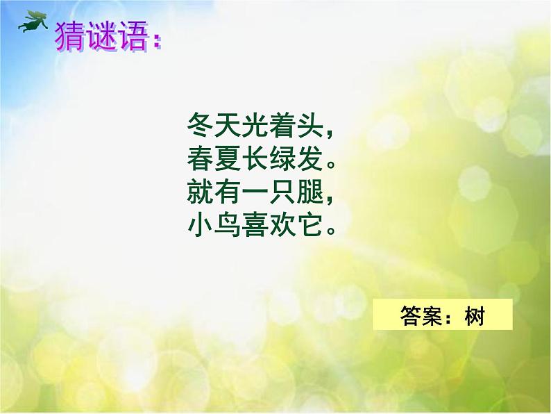 2022年小学 美术 冀美版 一年级下册 19. 大树的故事(28张)ppt课件第1页