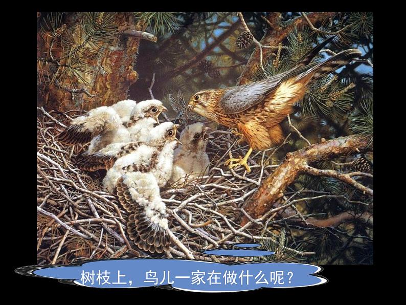 2022年小学 / 美术 / 冀美版 / 一年级下册 / 19. 大树的故事(25张)ppt课件03