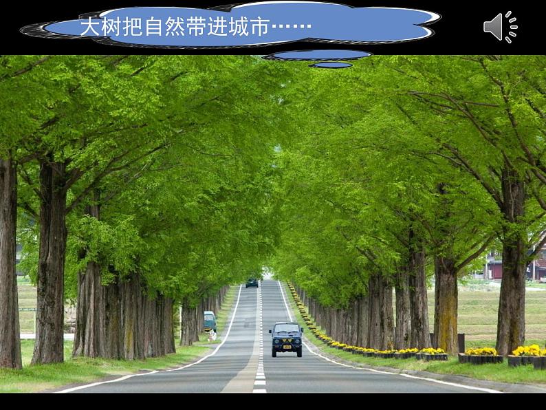 2022年小学 / 美术 / 冀美版 / 一年级下册 / 19. 大树的故事(25张)ppt课件08
