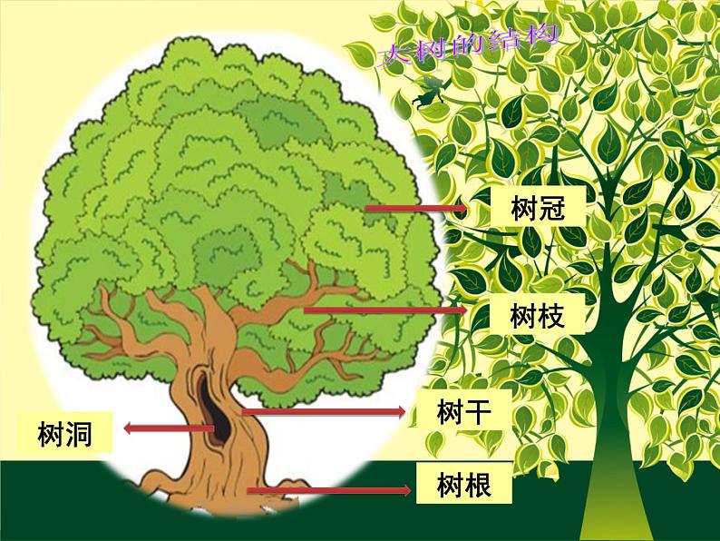 2022年小学 美术 冀美版 一年级下册 19. 大树的故事(15张)ppt课件第3页