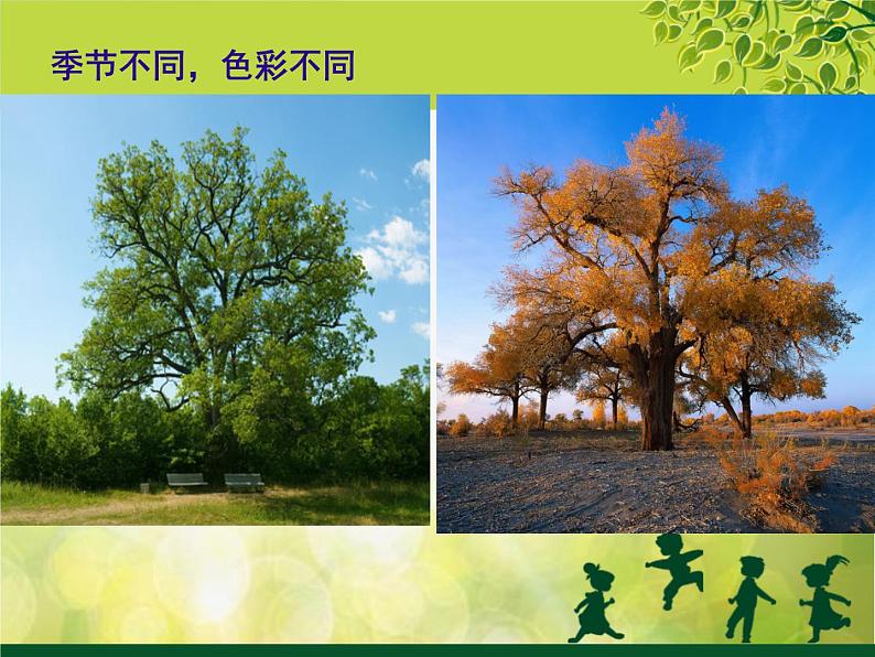 2022年小学 美术 冀美版 一年级下册 19. 大树的故事(15张)ppt课件第4页