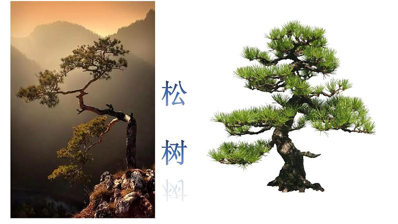 2022年小学 美术 冀美版 一年级下册 19. 大树的故事19张)ppt课件第5页