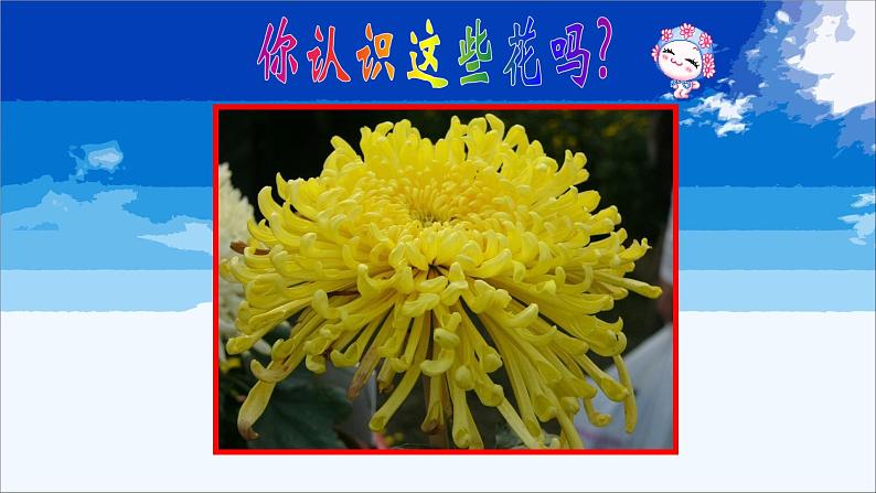 浙美版小学美术二年级下册 2.盛开的鲜花 课件05