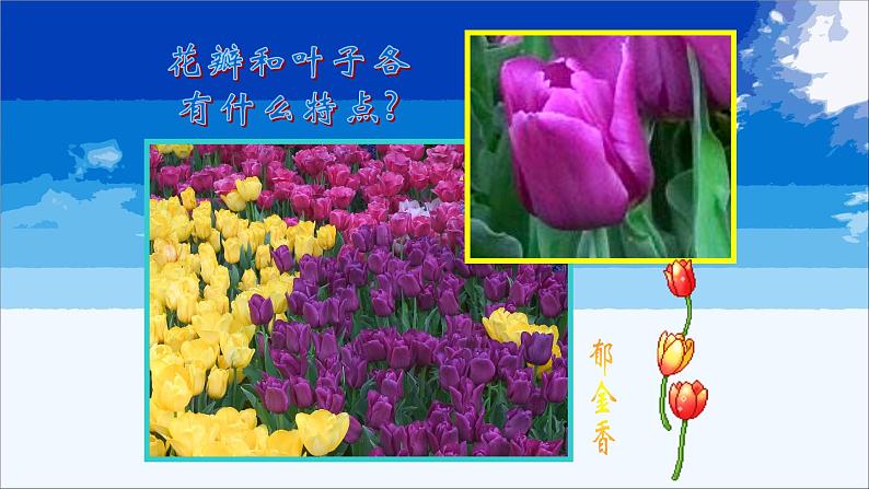 浙美版小学美术二年级下册 2.盛开的鲜花 课件06