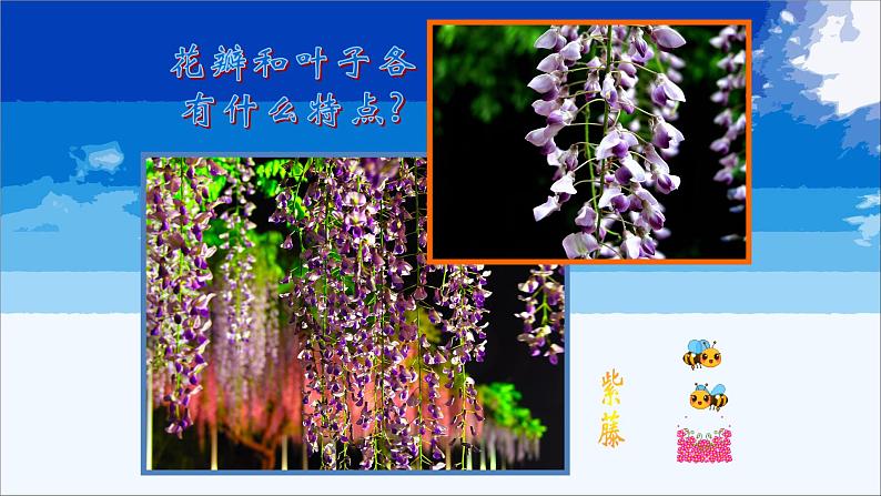 浙美版小学美术二年级下册 2.盛开的鲜花 课件08