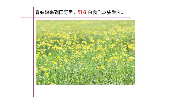 浙美版小学美术二年级下册 1.春天在哪里 课件第2页