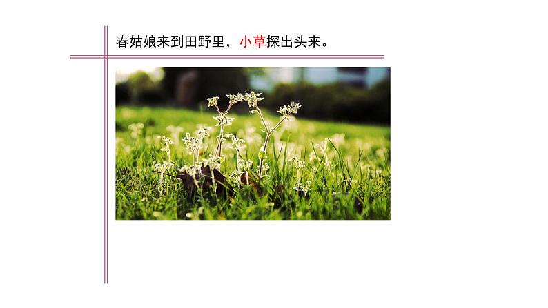 浙美版小学美术二年级下册 1.春天在哪里 课件第3页