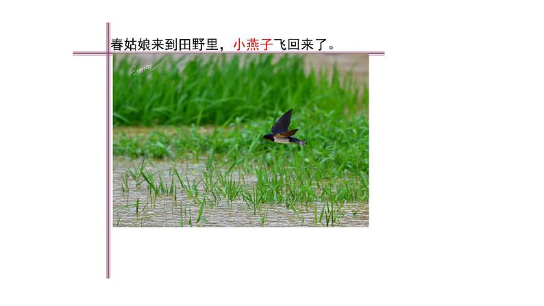 浙美版小学美术二年级下册 1.春天在哪里 课件第4页