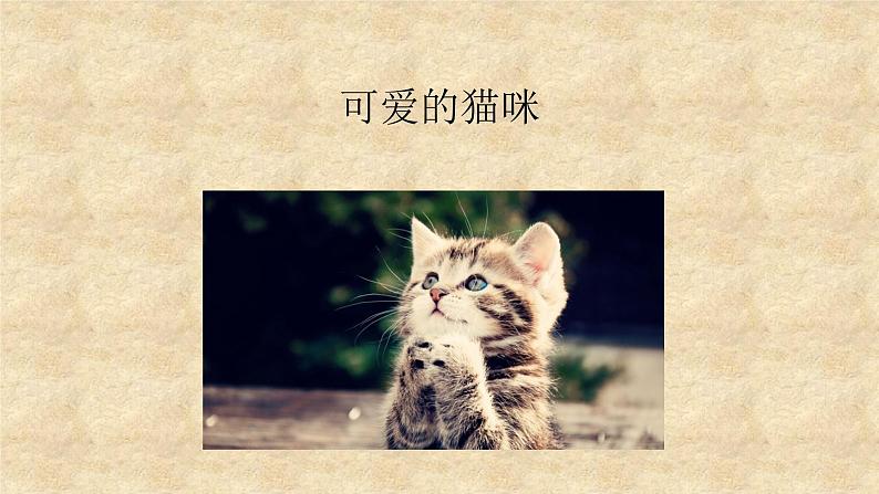 浙美版小学美术二年级下册 17.可爱的猫咪 课件第1页