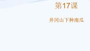 赣美版二年级上册第17课 井冈山下种南瓜课前预习课件ppt