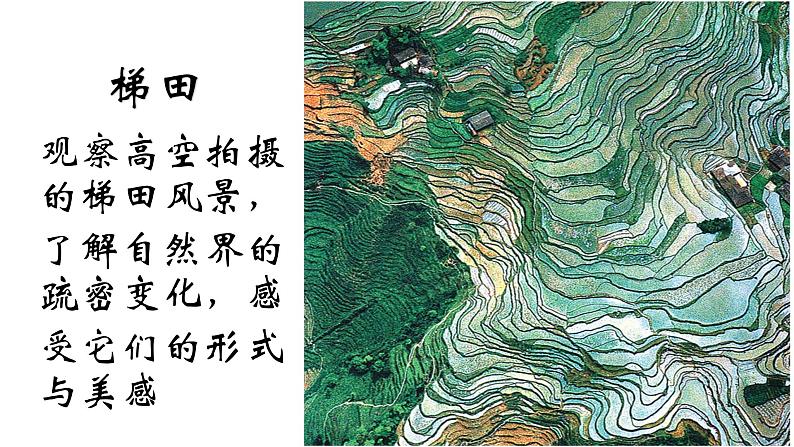 二年级下册美术课件-2.3美妙多变的线条丨岭南版第2页