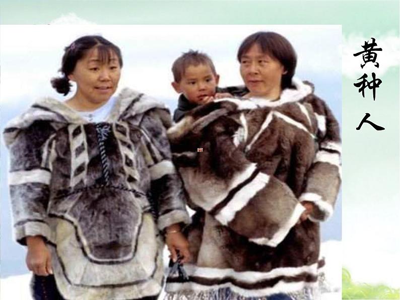 小学 美术 苏少版 三年级上册 6 形形色色的人课件第6页