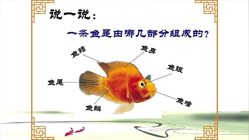 浙美版小学美术四年级下册 2.年年有余 课件02