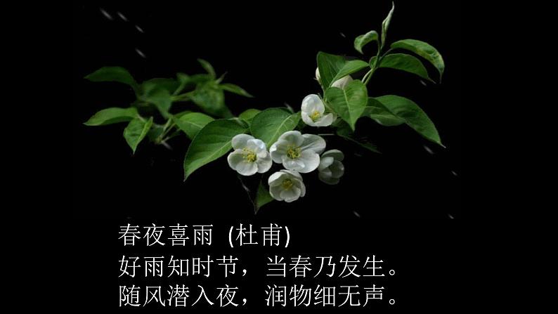 浙美版小学美术四年级下册 11.夜色 课件第2页