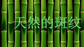 2021学年第9课 天然的纹理集体备课ppt课件