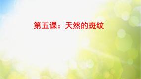 人教版三年级上册第9课 天然的纹理课文配套ppt课件