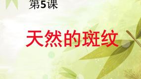 美术三年级上册第9课 天然的纹理教案配套课件ppt