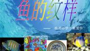 四年级上册9 鱼的纹样示范课课件ppt