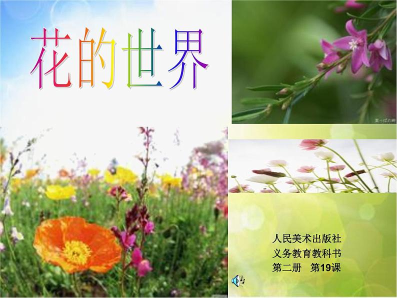 小学 美术 人美版 一年级下册 19. 花的世界课件第1页