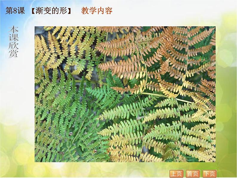 小学 美术 苏少版 三年级下册 19 渐变的形课件第4页