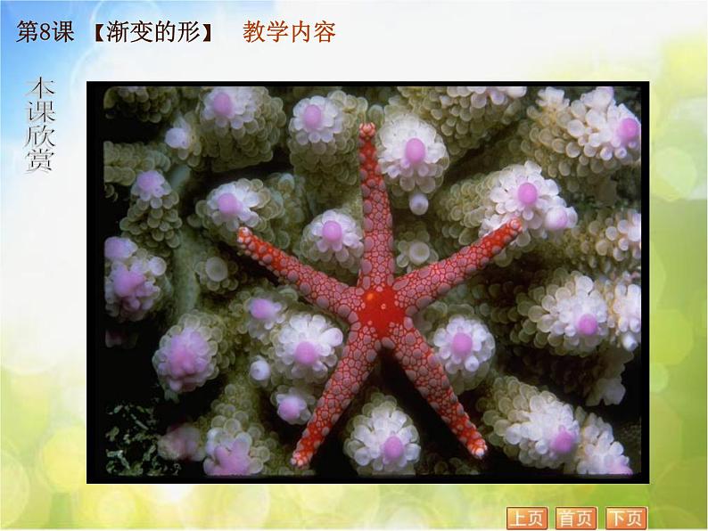 小学 美术 苏少版 三年级下册 19 渐变的形课件第7页