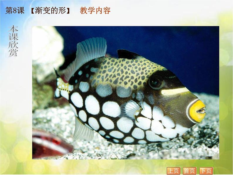 小学 美术 苏少版 三年级下册 19 渐变的形课件第8页