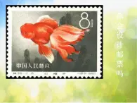 小学 / 美术 / 苏少版 / 二年级下册 / 16 你会设计邮票吗PPT课件-(2)