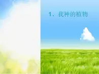 小学 / 美术 / 苏少版 / 六年级上册《第1课我种的植物》PPT课件-(1)