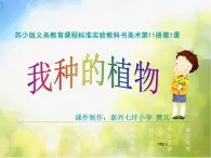 小学 / 美术 / 苏少版 / 六年级上册《第1课我种的植物》PPT课件-(2)