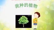 小学美术苏少版六年级上册1 我种的植物图片课件ppt