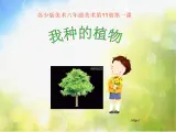 小学 / 美术 / 苏少版 / 六年级上册《第1课我种的植物》PPT课件-(3)