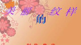 2020-2021学年第3课 美丽的纹样教课课件ppt