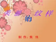 小学 / 美术 / 人教版 / 五年级上册《第3课美丽的纹样》PPT课件-(13)