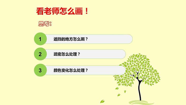 浙美版小学美术五年级下册 11.植物写生 课件05