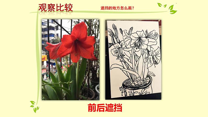 浙美版小学美术五年级下册 11.植物写生 课件07