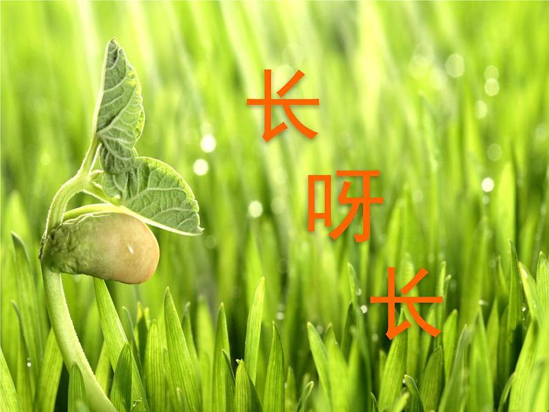 人美版一年级下册美术 2.长呀长(4) 课件01