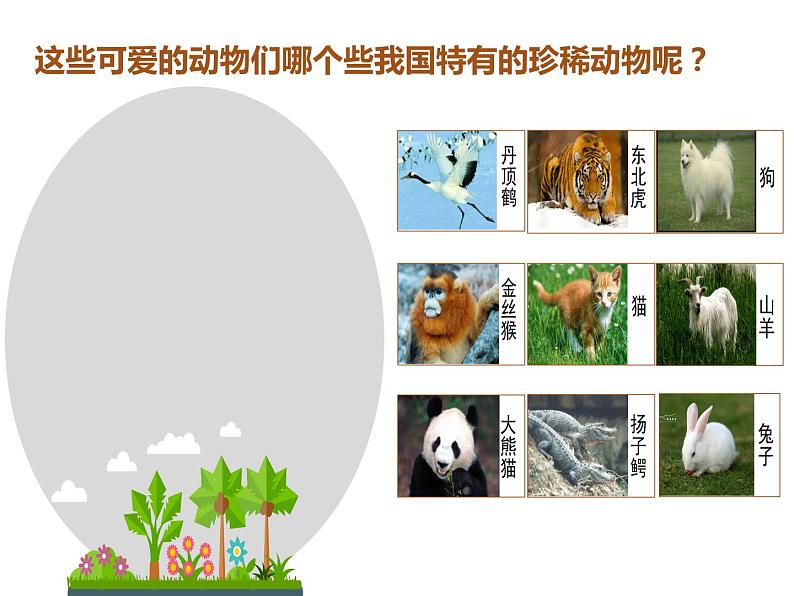 人美版一年级下册美术 12. 可爱的动物 课件第4页