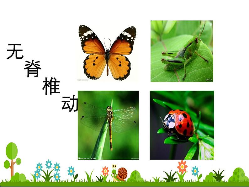 人美版一年级下册美术 12. 可爱的动物 课件第6页