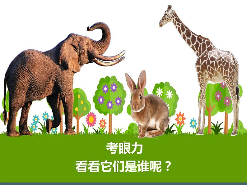 人美版一年级下册美术 12. 可爱的动物 课件第7页