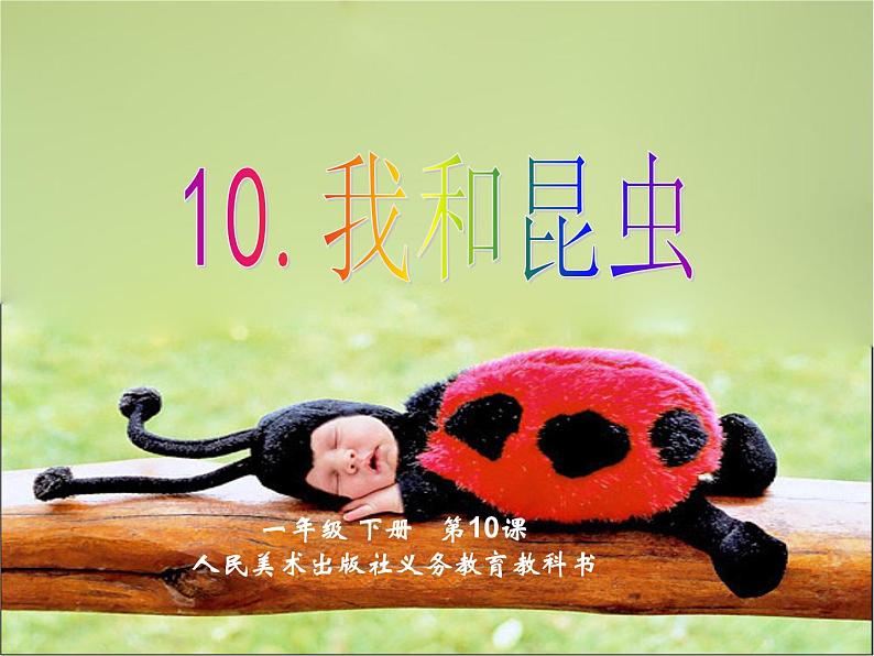 人美版一年级下册美术 10. 我和昆虫(3) 课件第1页
