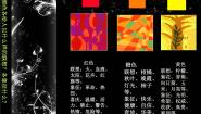 小学美术人美版（北京）六年级下册1. 色彩的联想课文ppt课件