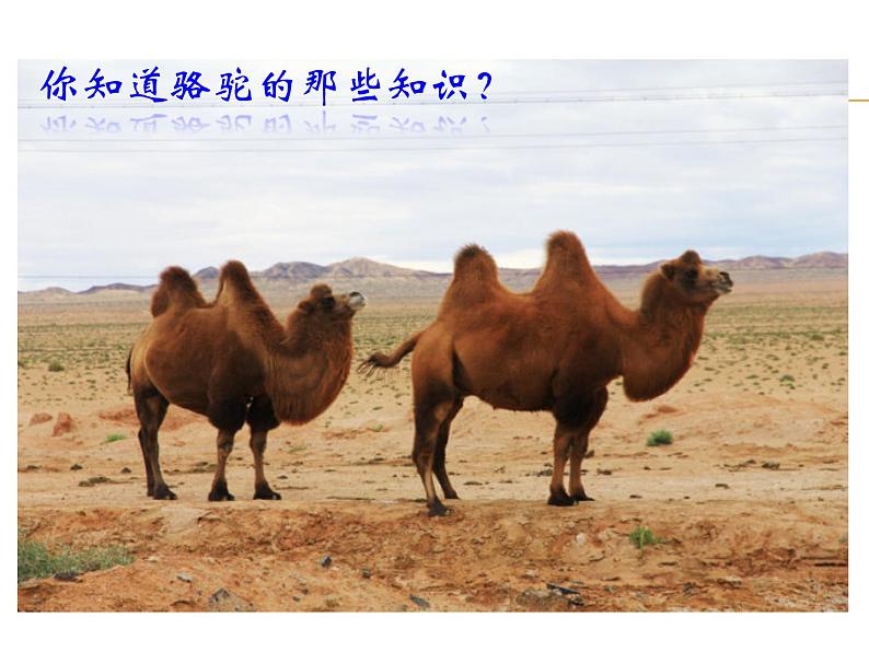 四年级美术上册课件-2.生活中的暖色1-人美版第3页