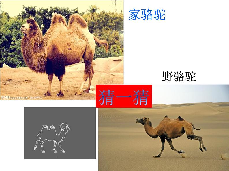 四年级美术上册课件-2.生活中的暖色1-人美版第6页