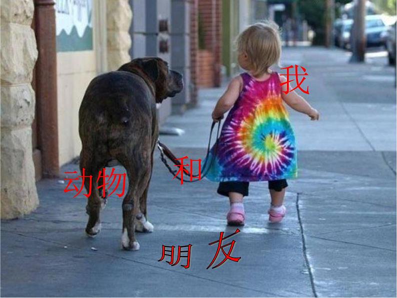 6 我和动物交朋友 课件第1页