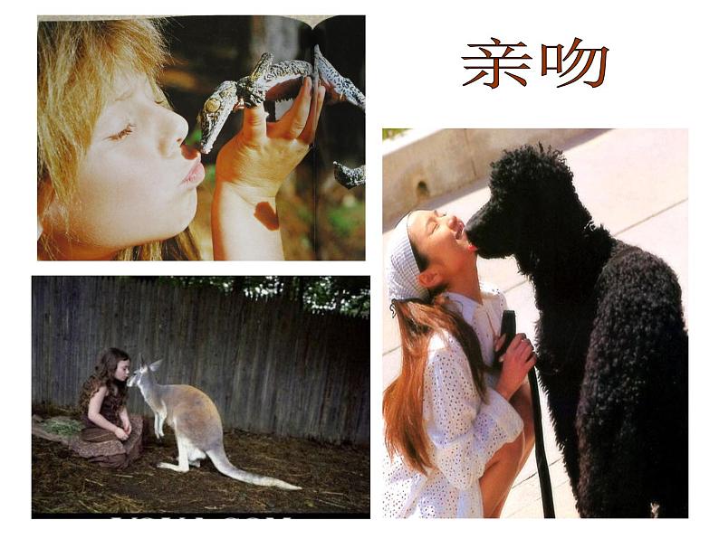 6 我和动物交朋友 课件第5页